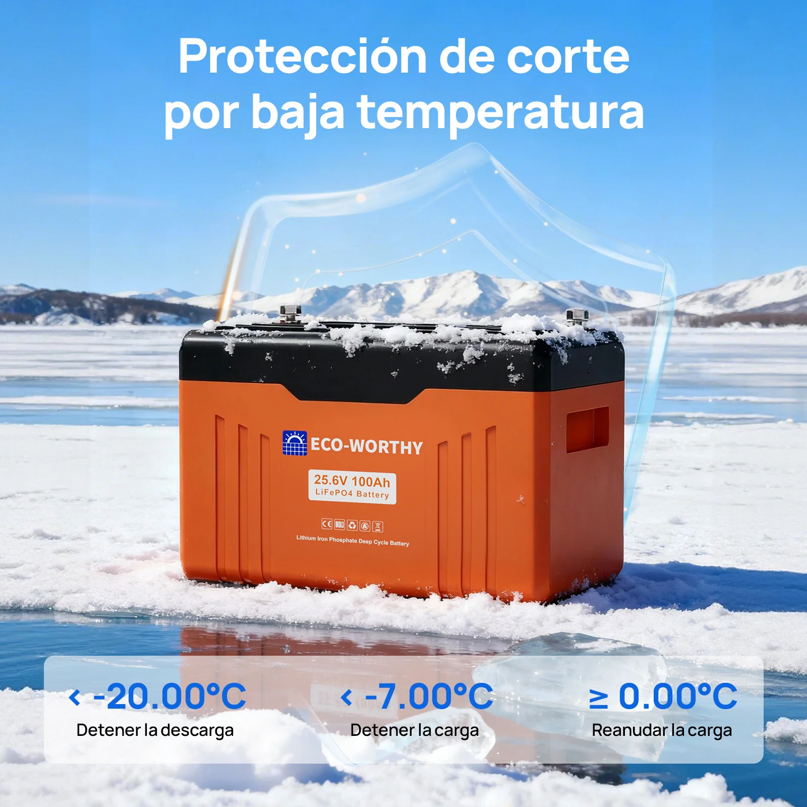 Imagen del producto 6